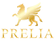 Partenaire 1